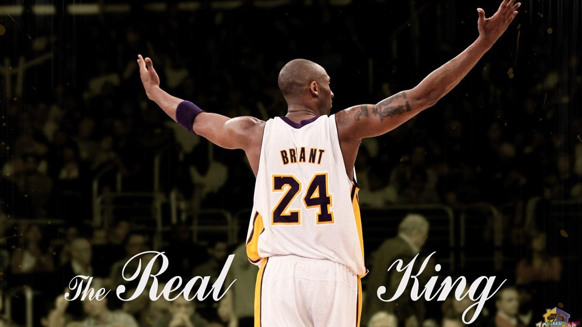 场景还原：世俱杯现场的现场氛围，世俱杯球场